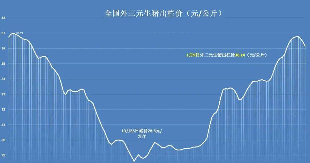 猪价期货行情/全国猪价期货 猪价期货行情/全国猪价期货
