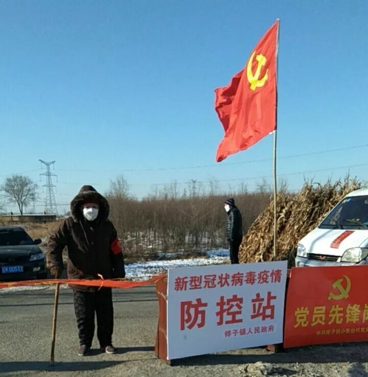 疫情期间村民共同抗疫情（抗击疫情村里党员在行动）