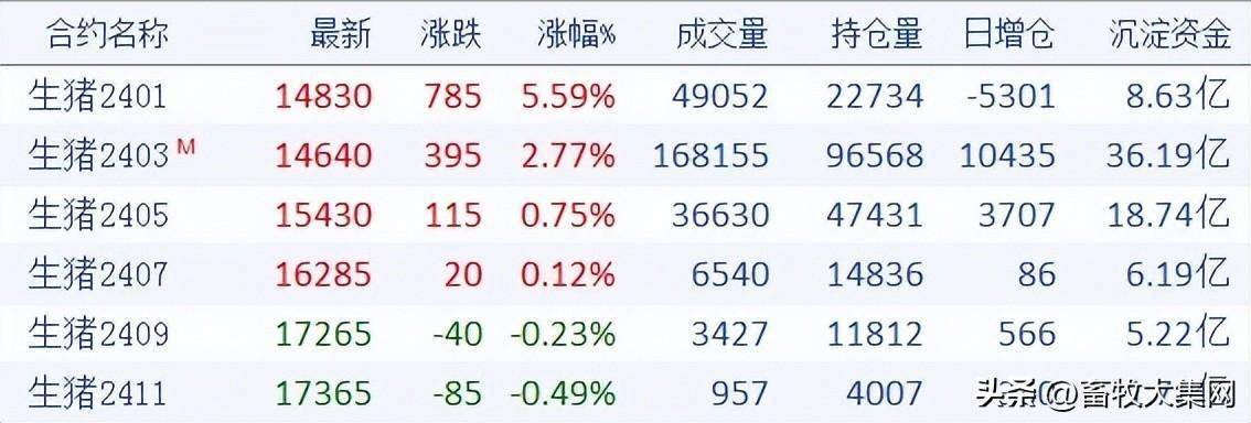 期货生猪行情最新:期货生猪行情最新价格