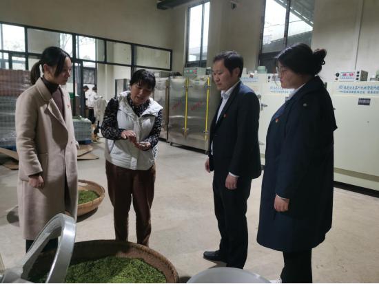 南阳期货行情:南阳期货行情走势 南阳期货行情:南阳期货行情走势