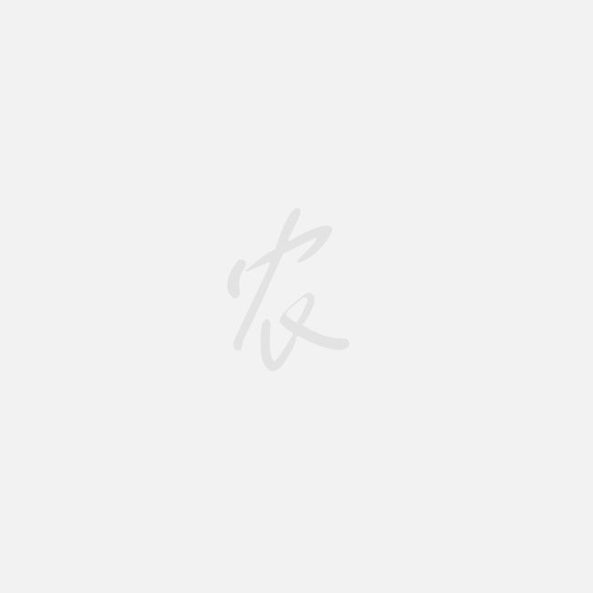 新疆核桃期货行情:新疆核桃价格走势图