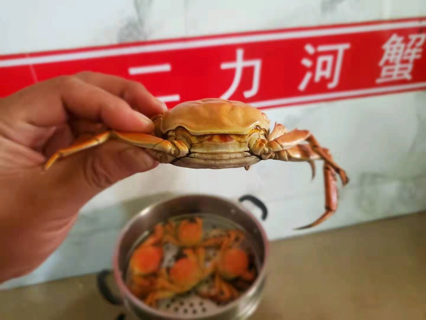 螃蟹期货行情/螃蟹价格行情 螃蟹期货行情/螃蟹价格行情
