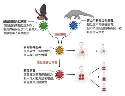 新冠疫情概述/新冠疫情概述简短 新冠疫情概述/新冠疫情概述简短