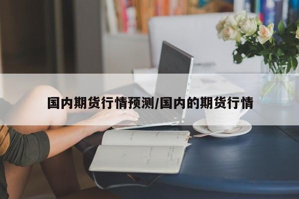 国内期货行情预测/国内的期货行情