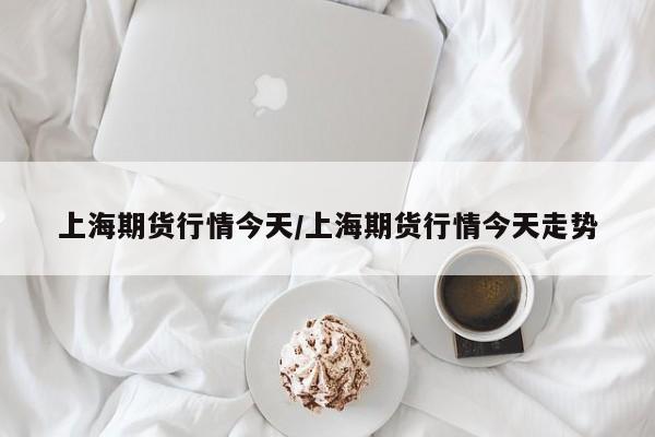 上海期货行情今天/上海期货行情今天走势