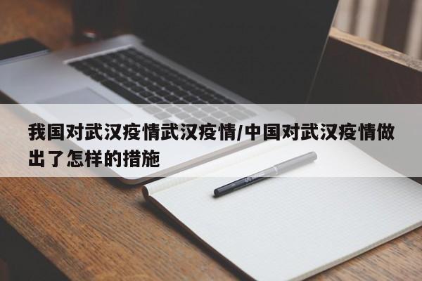 我国对武汉疫情武汉疫情/中国对武汉疫情做出了怎样的措施