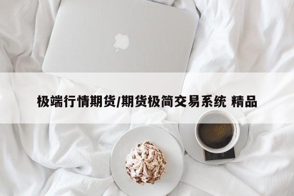 极端行情期货/期货极简交易系统 精品